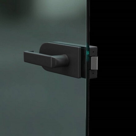 Dvere PORTA - Glass grafit sklo